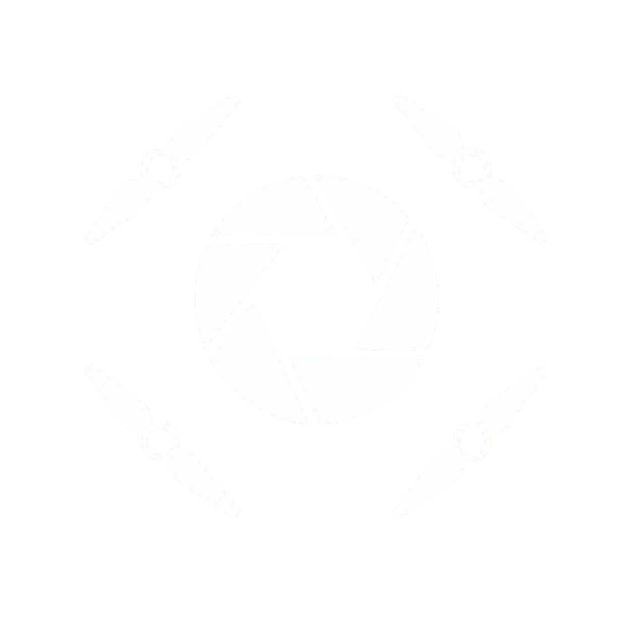 Ivis Photography logo